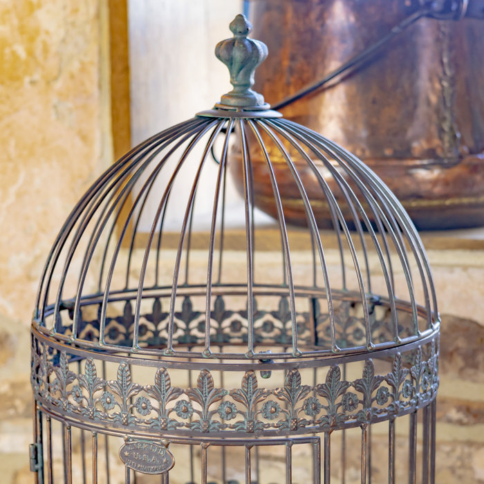 Canora Grey Kubra Two Piece VictorianStyle Iron Bird Cage Planter with